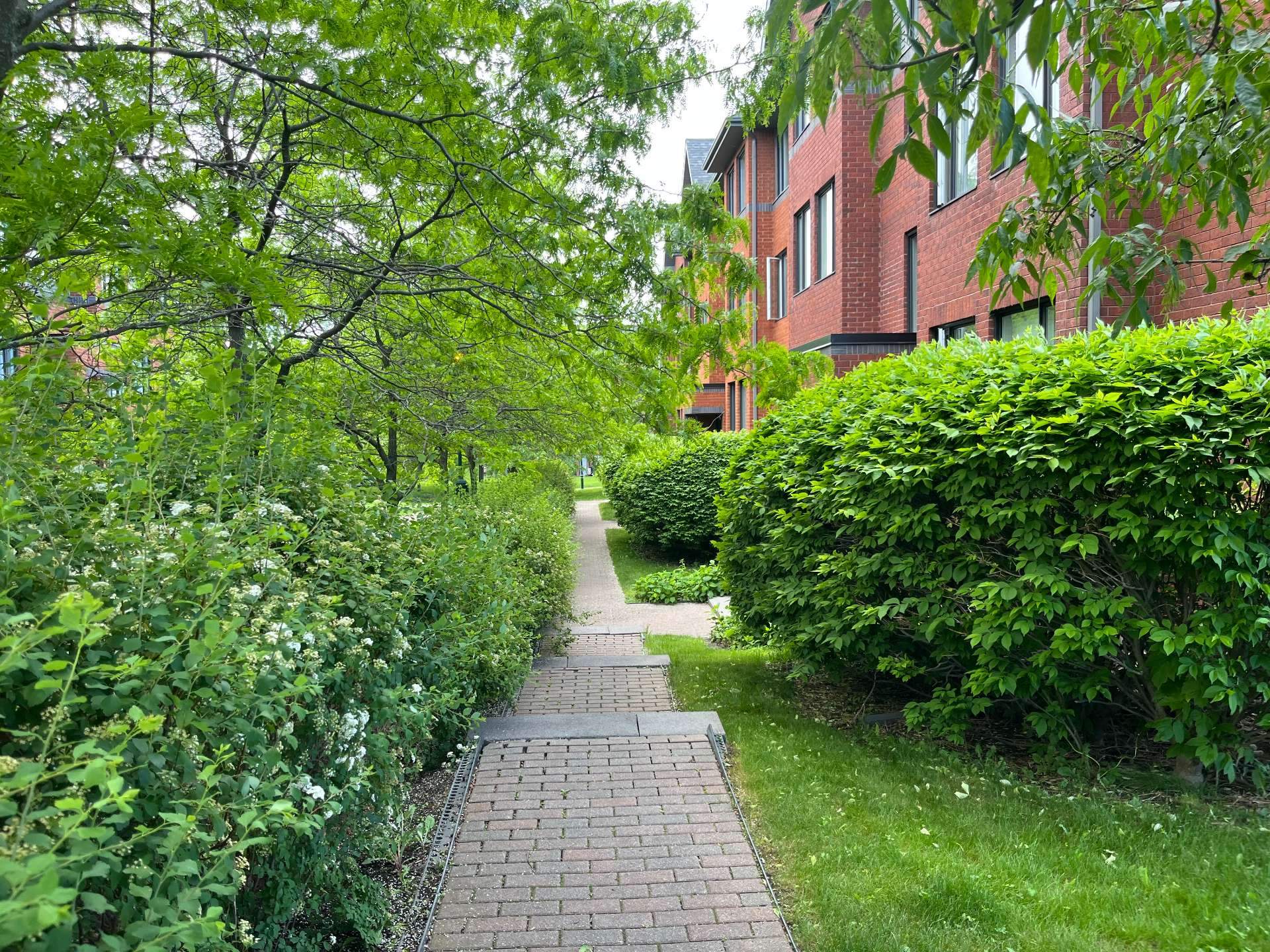 Residential in Montréal (Lachine) 3