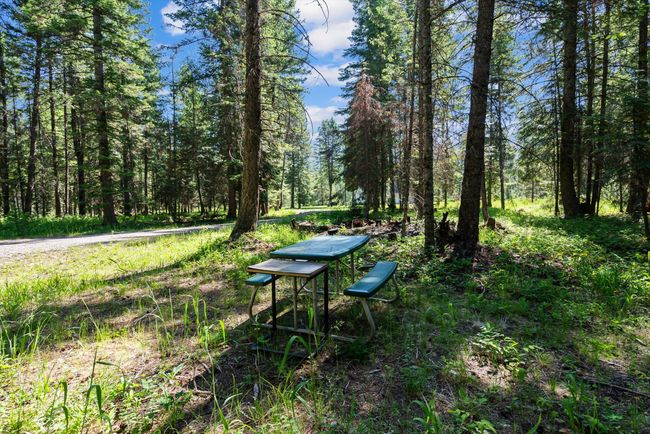 View of yard featuring a forest view | Image 42