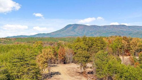 Tract 92 Conniston Rd, Chatsworth, GA, 30705 | Card Image