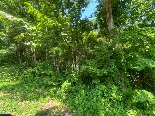 2 Holly Creek Rd, Celina, TN, 38551 | Card Image