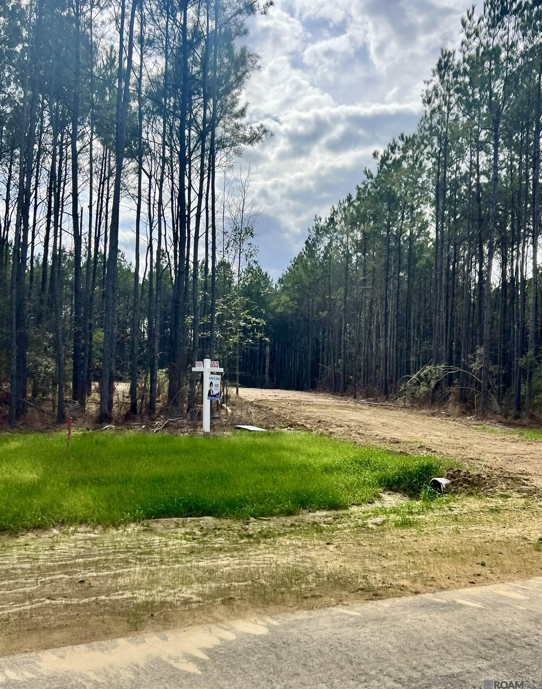 Land in Livingston 4