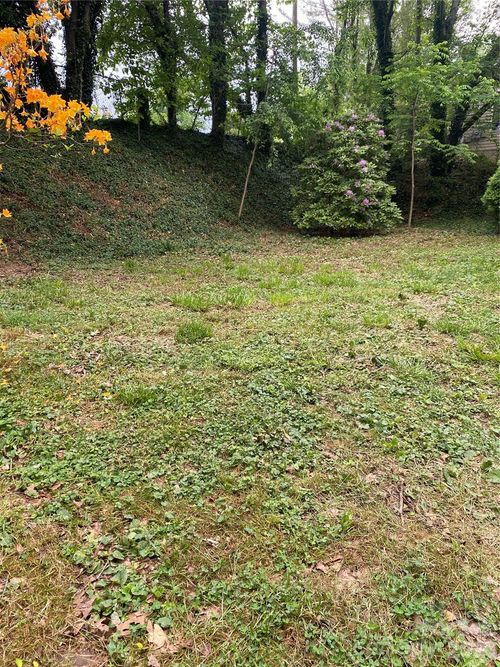 99999 Lilac Street, Asheville, NC, 28806 | Card Image