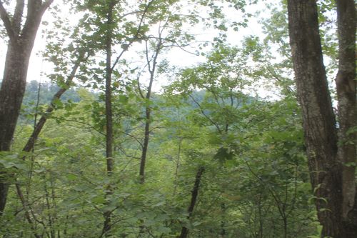 3 Straight Fork Rd, Huntsville, TN, 37756 | Card Image