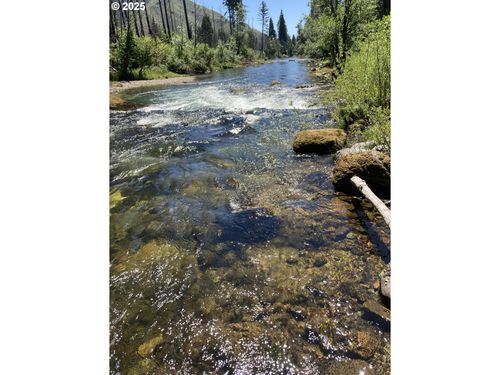 91303 Blue River Rd, Blue River, OR, 97413-9772 | Card Image