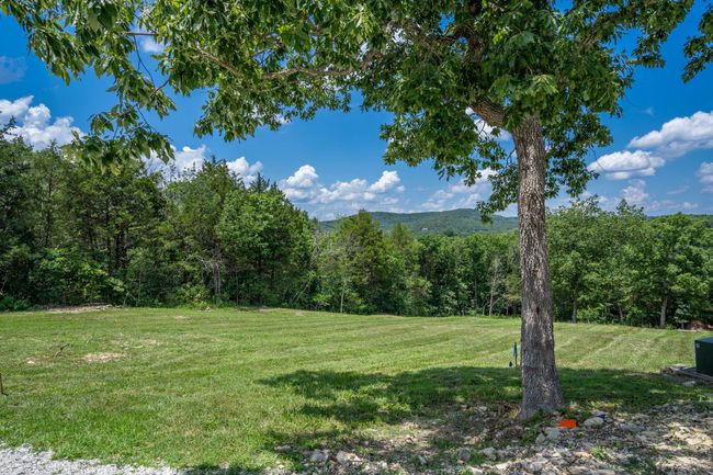 Lakefront Acreage Boat Slip | Image 4