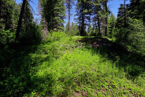 14 Elk Rd, Newport, WA, 99156 | Card Image