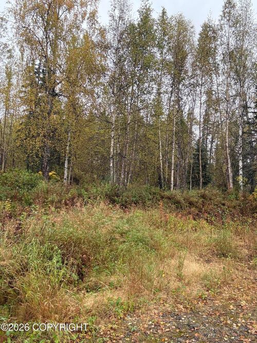 21174 E Alitak Rd, Talkeetna, AK, 99676 | Card Image