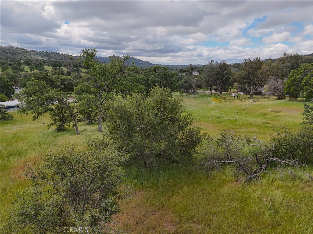 Land in Coarsegold 4