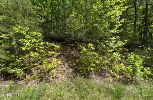 lot 50 Yellowwood Dr, Sevierville, TN, 37876-7808 | Card Image