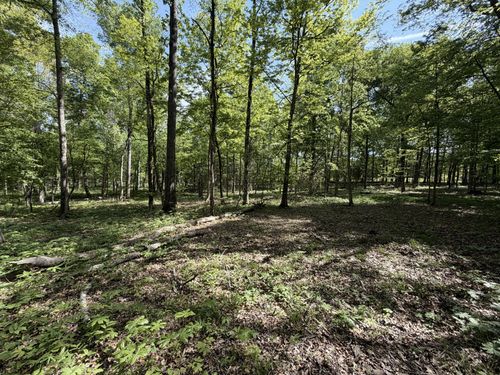 0 Millersburg Rd, Christiana, TN, 37037 | Card Image