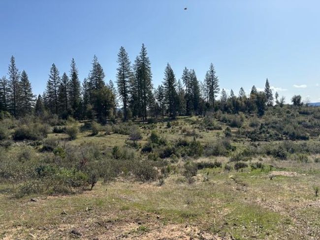 19292 Shawnee Trl, Home with 0 bedrooms, 0 bathrooms and null parking in Mokelumne Hill CA | Image 42