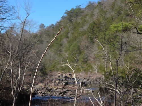 TBD To Be Named, Gillham, AR, 71841 | Card Image