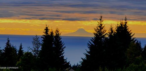 41236 Volcano View Ct, Homer, AK, 99603-9112 | Card Image