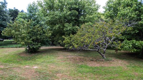0 Pikes Peak Rd, Trenton, GA, 30752 | Card Image