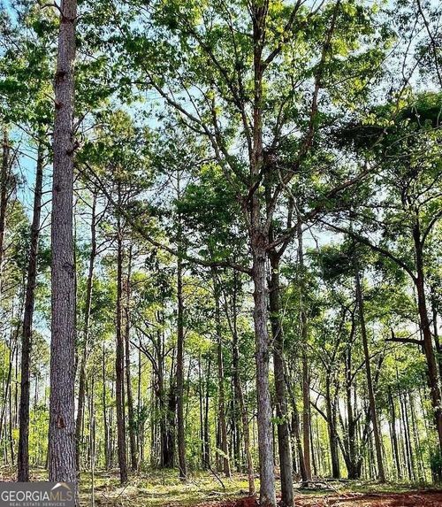 1660 Watkins Farm Rd, Nicholson, GA, 30565-2625 | Card Image