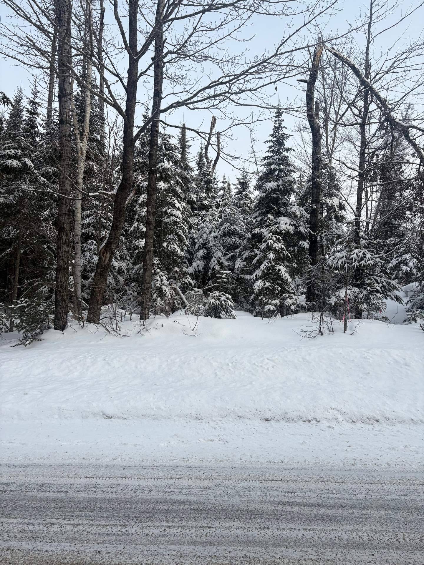 Land in Lac-Supérieur 2