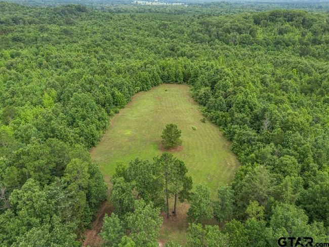 3536 &amp; TBD Cr 1579, Home with 4 bedrooms, 3 bathrooms and null parking in Avinger TX | Image 9