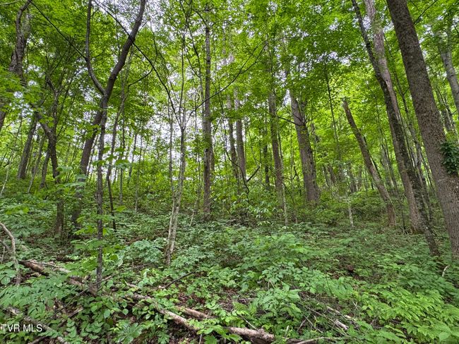 649 Sugar Run Rd, House other with 4 bedrooms, 3 bathrooms and null parking in Jonesville VA | Image 23