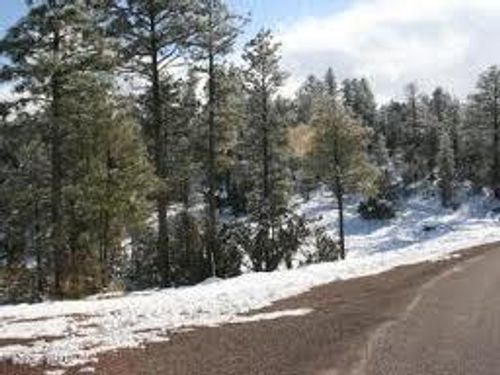 3378 Windy Lane, Heber, AZ, 85928 | Card Image