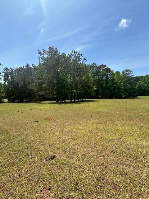 Land in Mcdonough 2