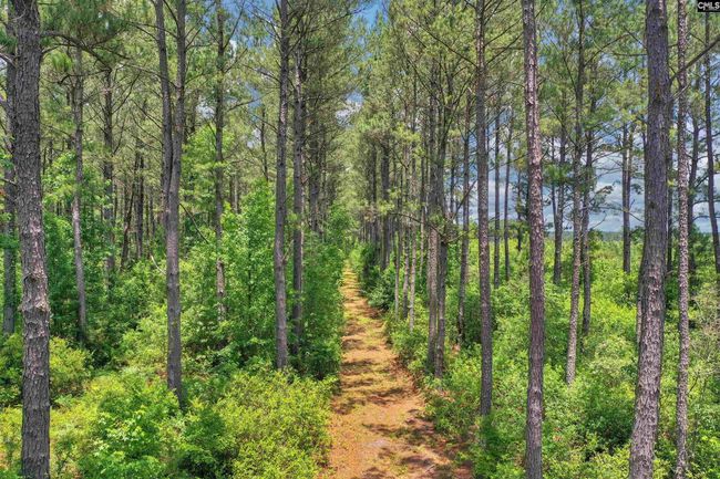0000 N Brewington Rd, Home with 0 bedrooms, 0 bathrooms and null parking in Manning SC | Image 7