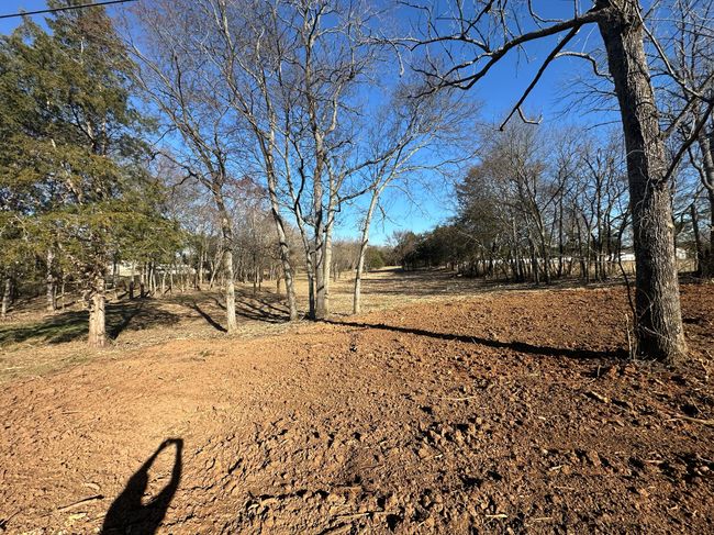 7540 Joe Rowlin Rd, House other with 3 bedrooms, 2 bathrooms and 4 parking in Christiana TN | Image 29