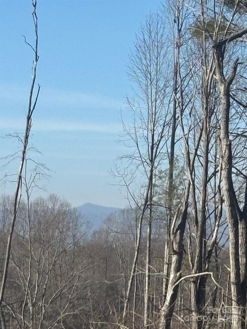 905 Hutch Mountain Rd, Fletcher, NC, 28732-7517 | Card Image