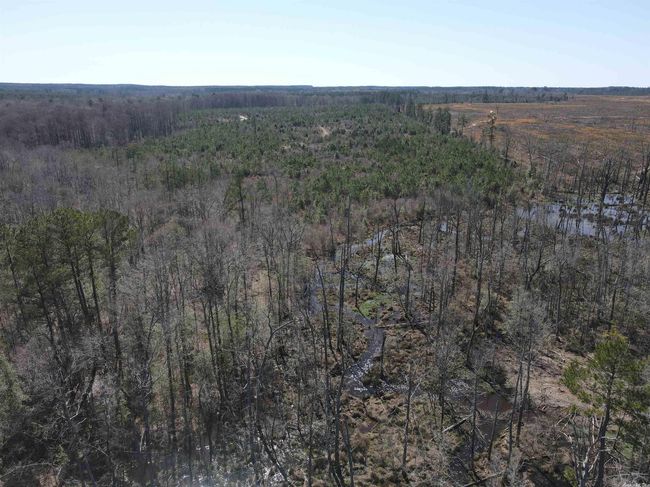 00 Highway 278 Highway, Home with 0 bedrooms, 0 bathrooms and null parking in Rosston AR | Image 9