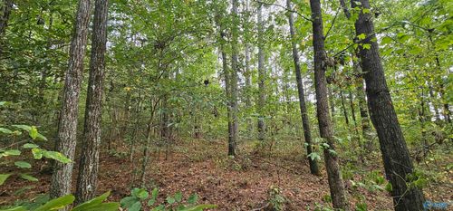 7.82 +/- ACRES N Alabama Highway 79, Scottsboro, AL, 35768 | Card Image