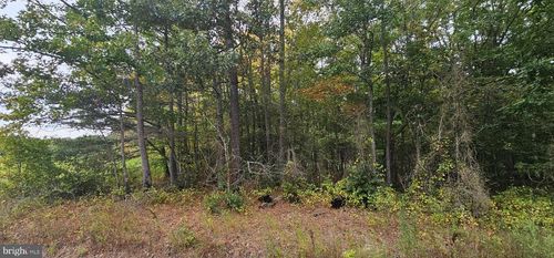 0 Mount Vernon Rd, PRINCESS ANNE, MD, 21853 | Card Image