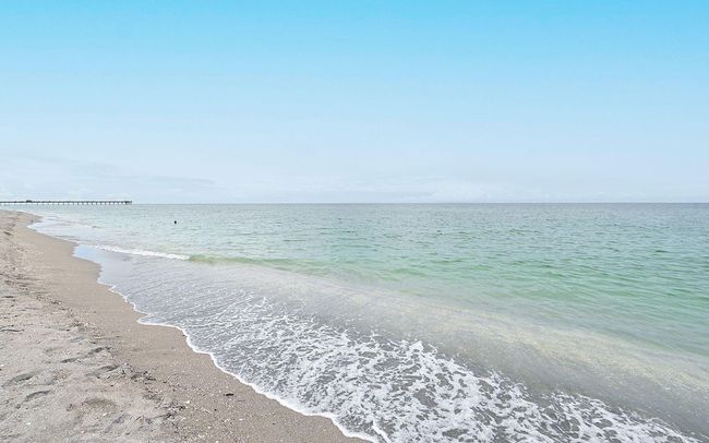 Beautiful Venice Beach! | Image 56