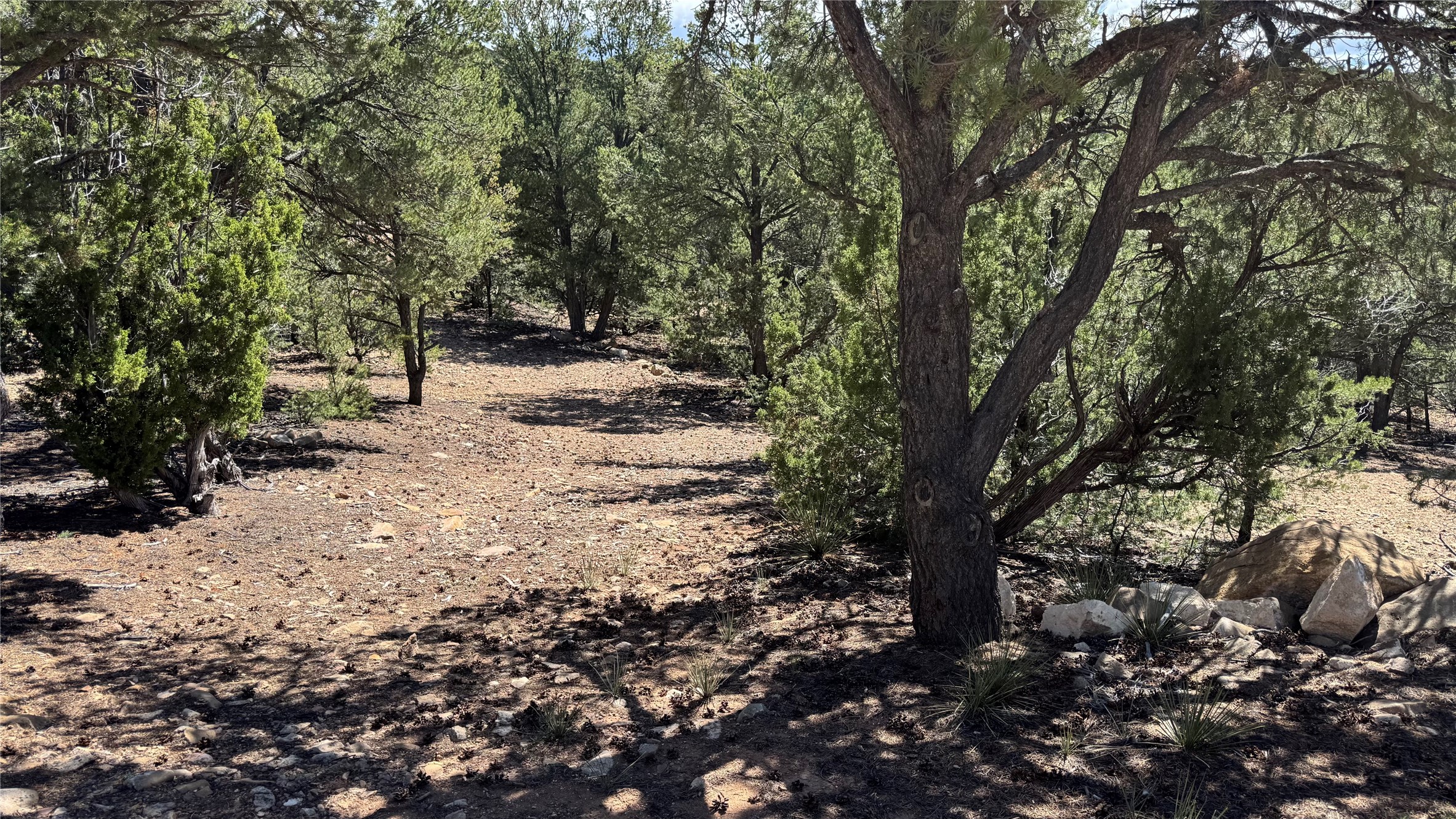 Land in Santa Fe 5