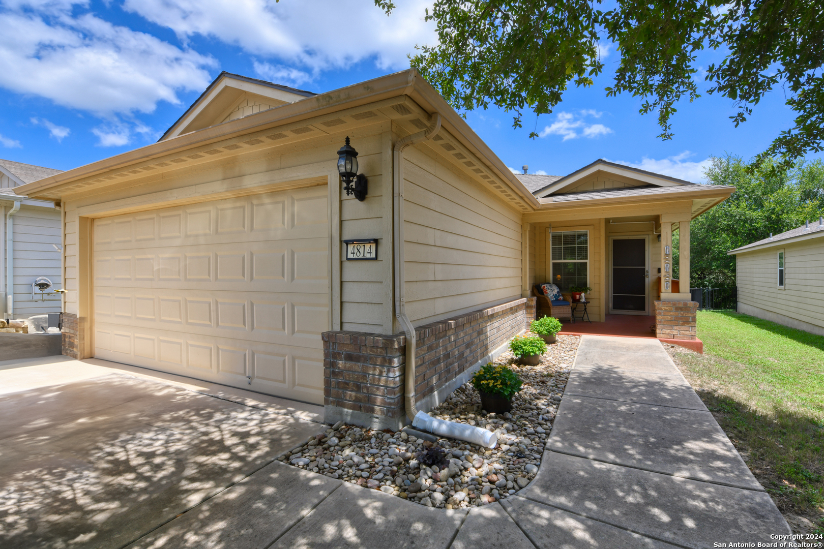 Sandhill Crane , San Antonio, TX 78253