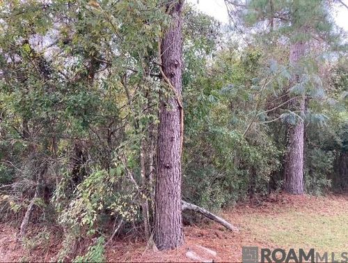 Lot 13 & 14 Lucien St, Denham Springs, LA, 70726 | Card Image