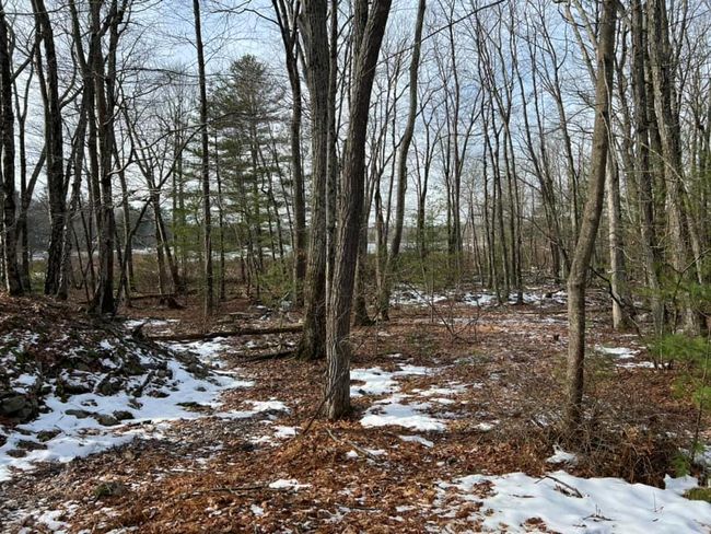 2 Acre Parcel with Lake Rights and Views | Image 16