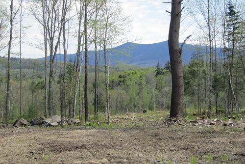 351 Coventry Rd, Benton, NH, 03785-6114 | Card Image