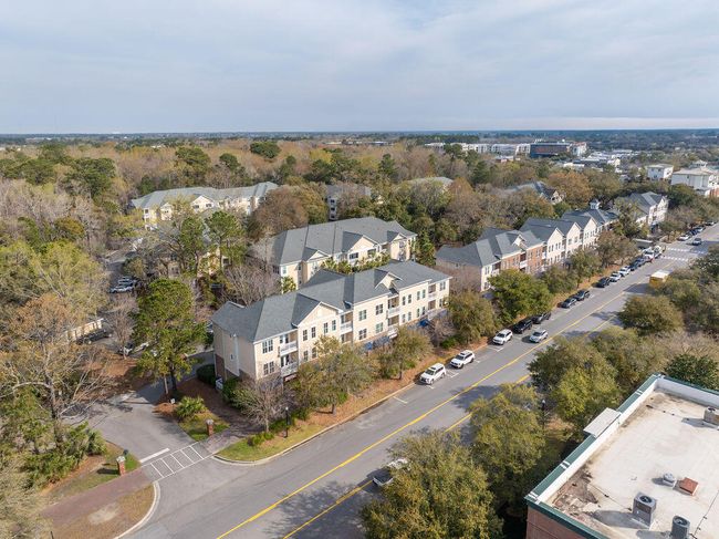 DJI_20250313102912_0288_D-HDR | Image 13