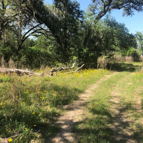 10324 Fm 530, Hallettsville, TX, 77964-5897 | Card Image