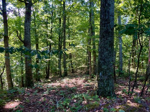 0 Taylor Chapel Rd, Dover, TN, 37058 | Card Image