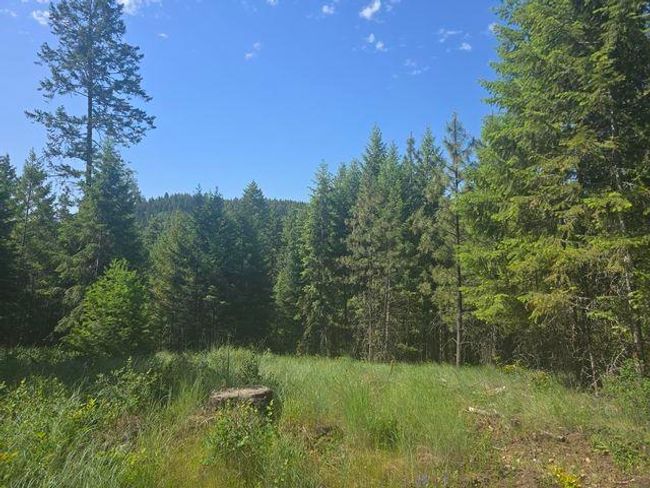 3418 Kingsbury Lake Way, Home with 0 bedrooms, 0 bathrooms and null parking in Kettle Falls WA | Image 7