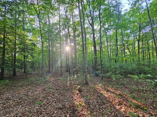3 Woodfern Lane, Coalmont, TN, 37313 | Card Image