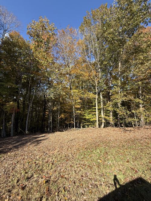 0 Collins Ln, Allons, TN, 38541 | Card Image