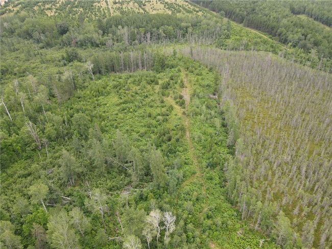 W39XX Frog Creek Rd, Home with 0 bedrooms, 0 bathrooms and null parking in MINONG WI | Image 27
