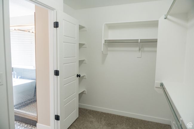Spacious closet with carpet | Image 15