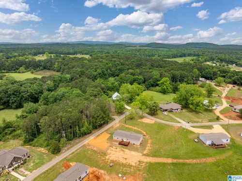 -12-55 S T Smith Court, Cropwell, AL, 35054 | Card Image