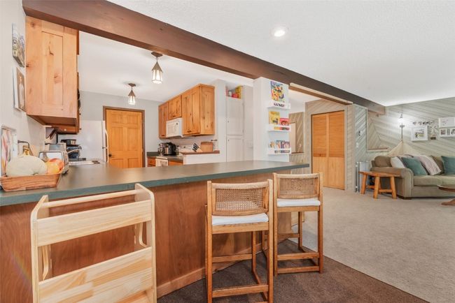 UNIT-102 - 2617 Burgess Creek Rd, Townhouse with 2 bedrooms, 3 bathrooms and null parking in Steamboat Springs CO | Image 10