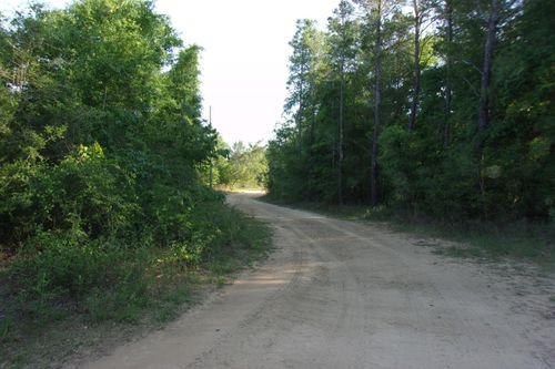 XX Grebe Way, Crestview, FL, 32536 | Card Image