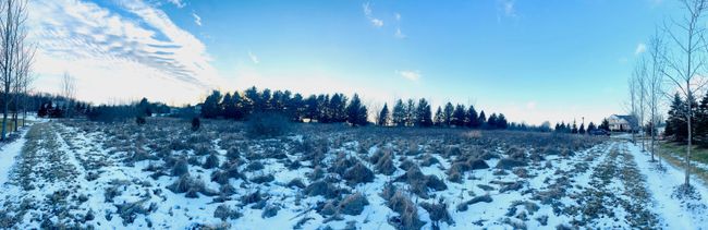 Lot 6 Sleeping Meadow Ln, Home with 0 bedrooms, 0 bathrooms and null parking in Mason MI | Image 6