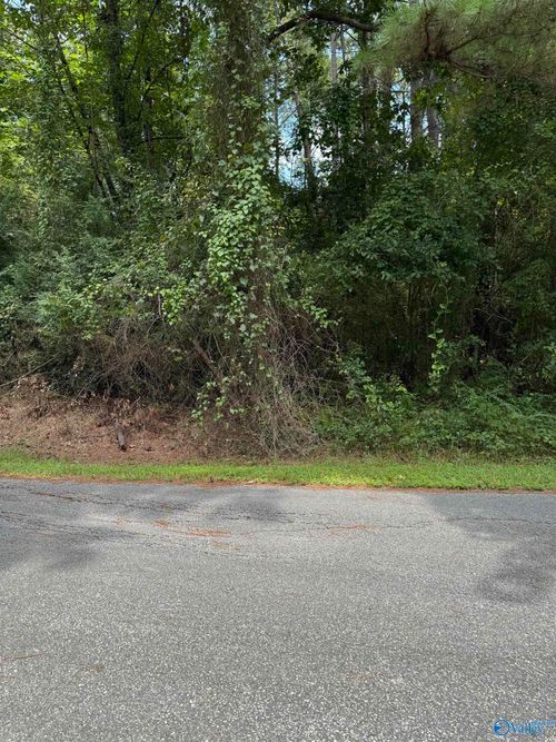 LOT 30 Canal St, Childersburg, AL, 35044-1310 | Card Image