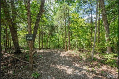 2537 Alpine Woods Dr, Innsbrook, MO, 63390-6565 | Card Image